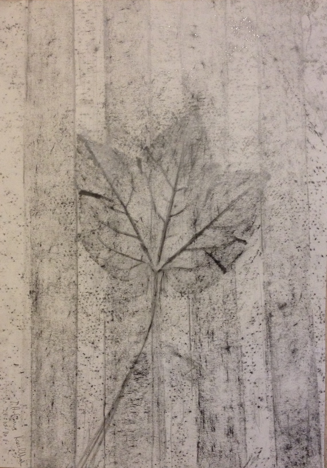 Autumn leaf (2016) graphite on paper