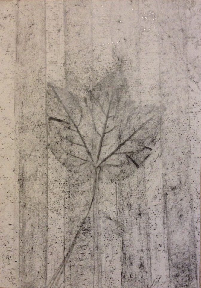 Autumn leaf (2016) graphite on paper