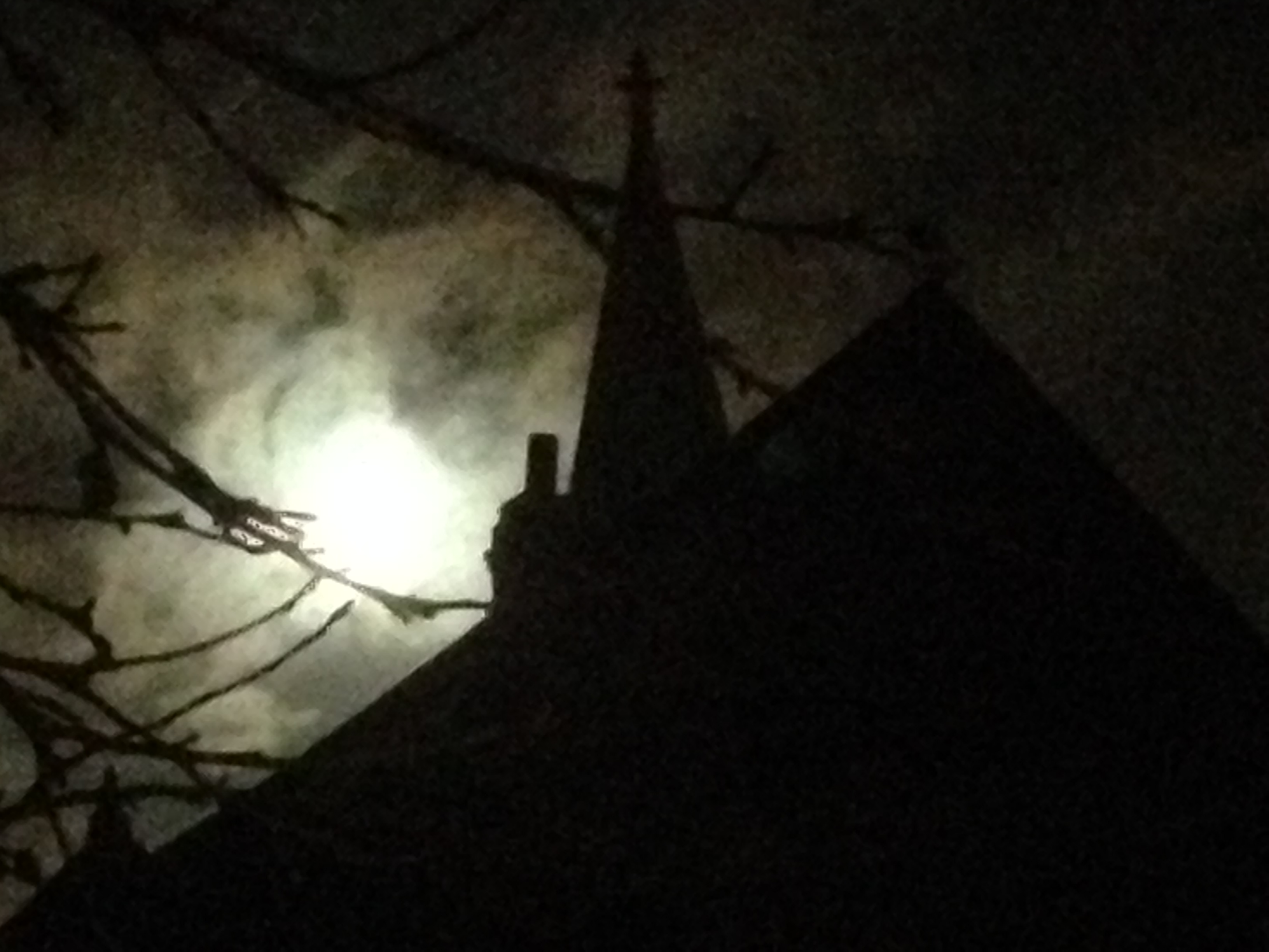 Moonlight (2017) photo on paper