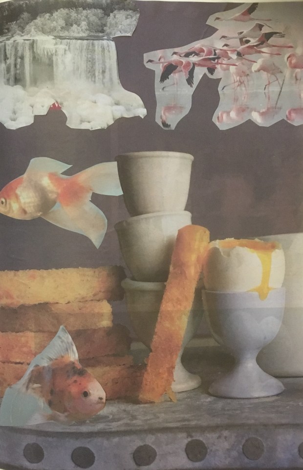 Spot the goldfish (collage, 2019)